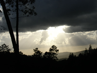 dsc09767_s.jpg