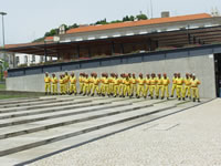 canarinhos_1.jpg