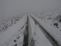 neve_1.jpg