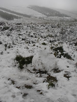 neve_2.jpg