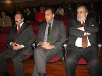 madeirapinho_2.jpg