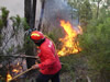 fogo_s.jpg
