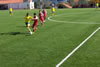 juvenisproenca_s.jpg