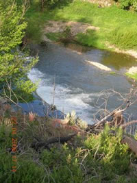 ribeiraoleiros_1.jpg