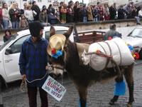 carnaval_2.jpg