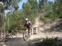 downhill_1jpg.jpg